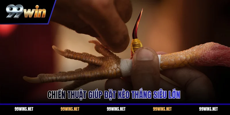 Chiến thuật giúp đặt kèo thắng siêu lớn
