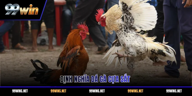 Định nghĩa đá gà cựa sắt