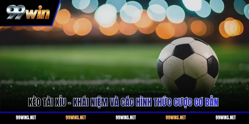 Kèo Tài Xỉu - Khái Niệm Và Các Hình Thức Cược Cơ Bản