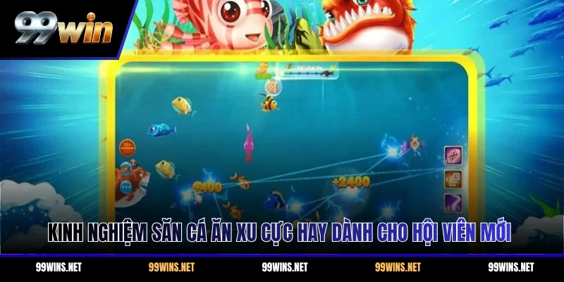 Kinh nghiệm săn cá ăn xu cực hay dành cho hội viên mới